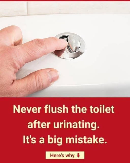 Many people still assume these two buttons are solely for flushing